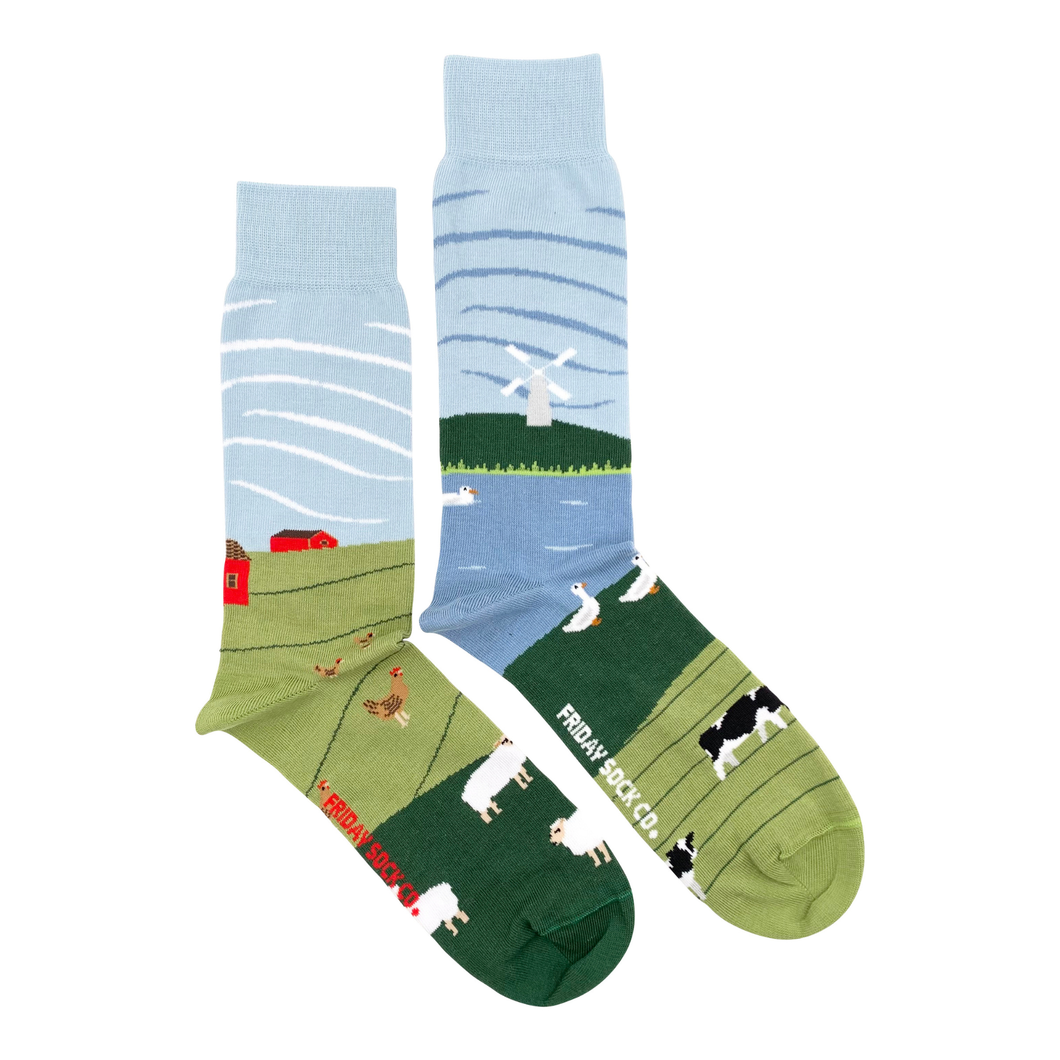 Barnyard Scene| Adult Socks | Fun Mismatched Socks
